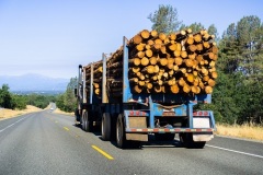 Truck transporting logs Lowboy Scales