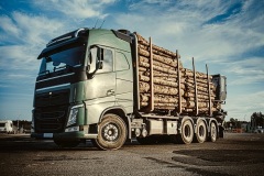 Green truck carrying pulpwood Lowboy Scales