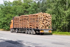 Timber truck Lowboy Scales
