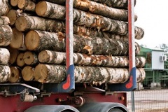 Log truck Lowboy Scales