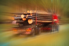 Logging truck Lowboy Scales