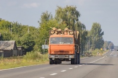 Timber truck Lowboy Scales