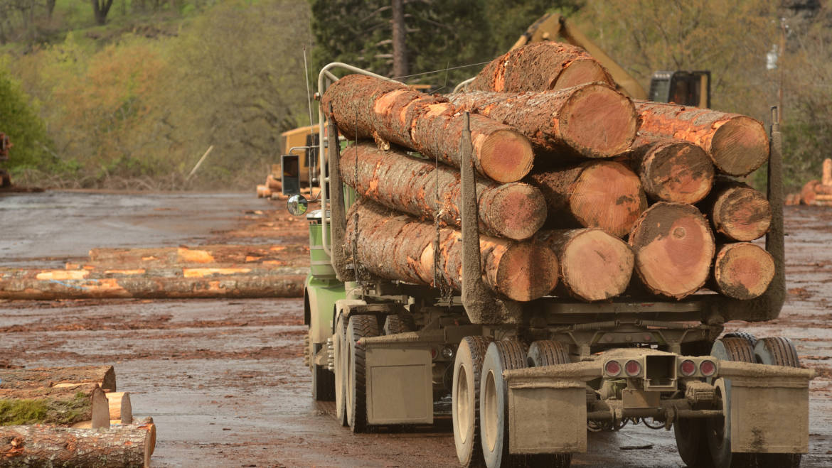 Imported Hardwoods