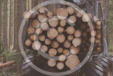 We are FSC chain-of-custody certified