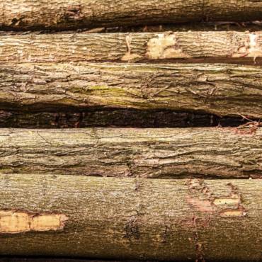 Forestry and Timber